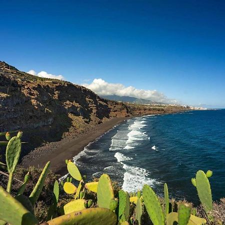 Dragos Del Mar , Espacio Natural La Orotava Exteriör bild