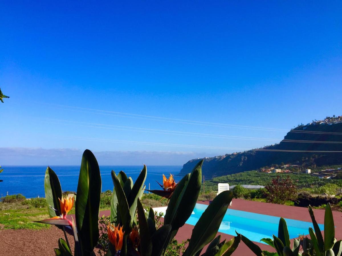 Dragos Del Mar , Espacio Natural La Orotava Exteriör bild