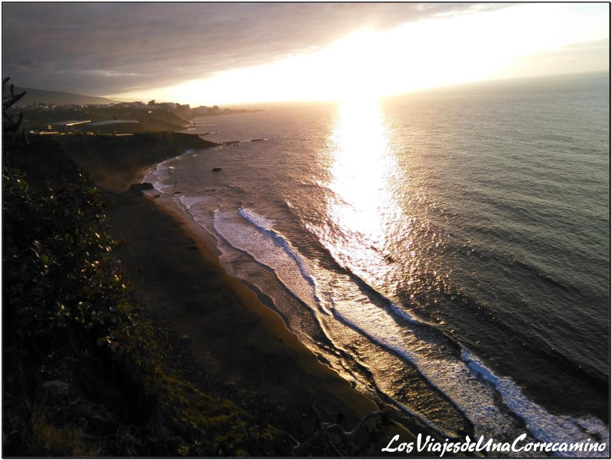 Dragos Del Mar , Espacio Natural La Orotava Exteriör bild