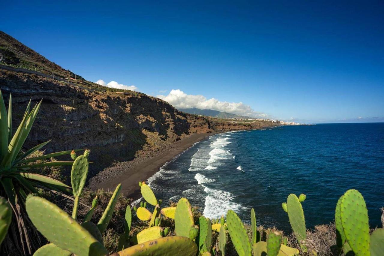 Dragos Del Mar , Espacio Natural La Orotava Exteriör bild